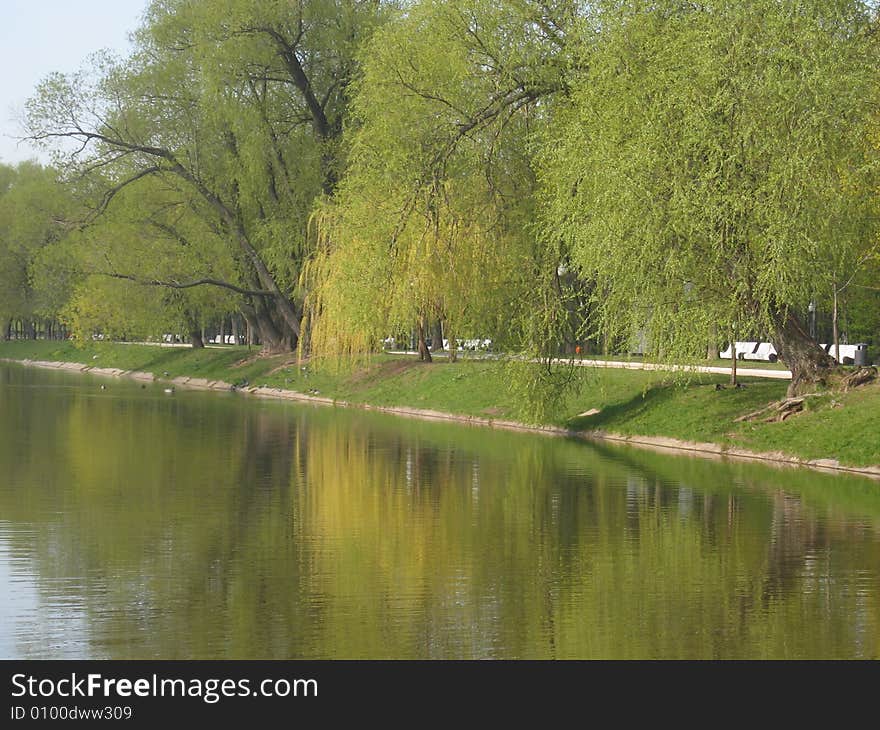 Willow trees on bank of lake, water, park, spring. Willow trees on bank of lake, water, park, spring.