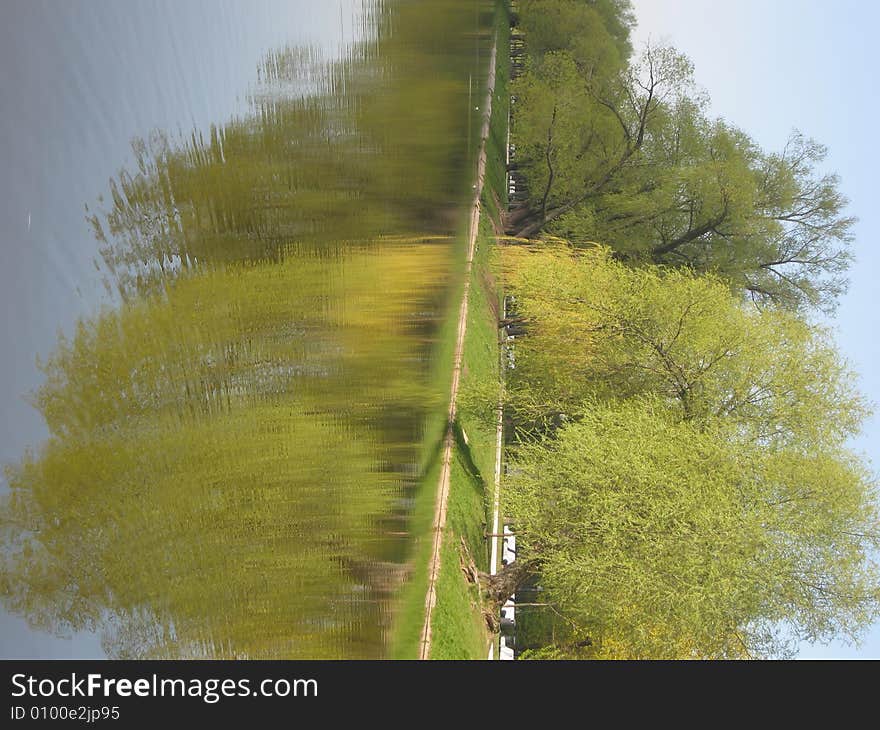 Willows and lake, spring