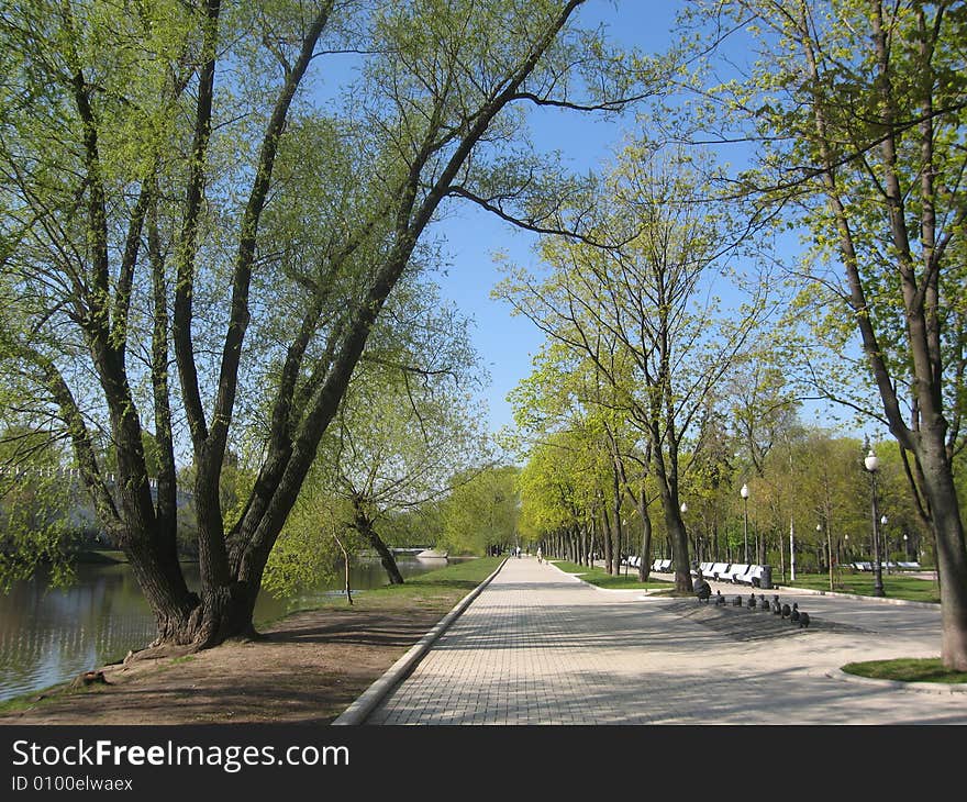 Alley with green trees in park in spring. Alley with green trees in park in spring.