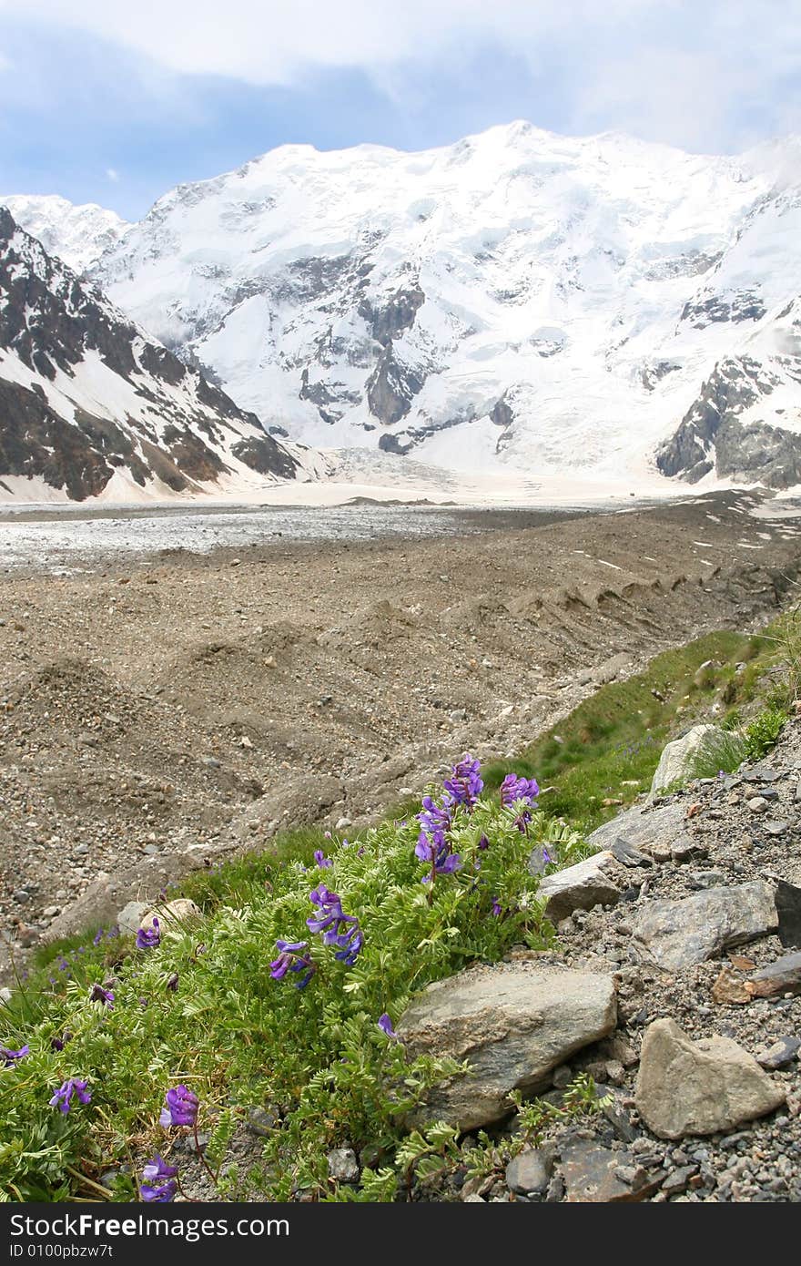 Caucasus mountain, snow top, bezengi