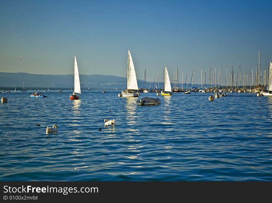 Yachts on sea