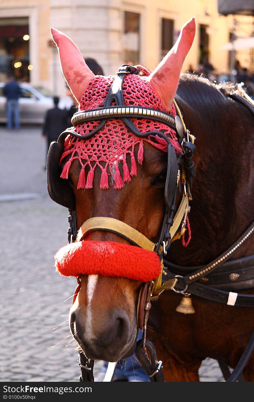 Red Devil Horse