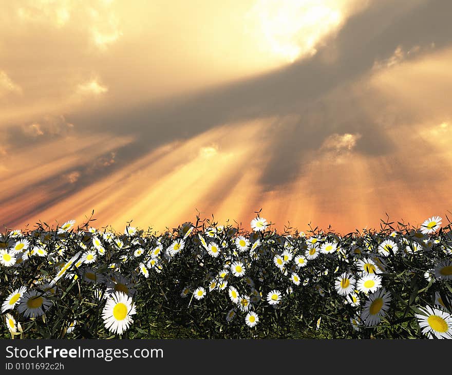 Beautiful field of flowers. 3d image. Beautiful field of flowers. 3d image