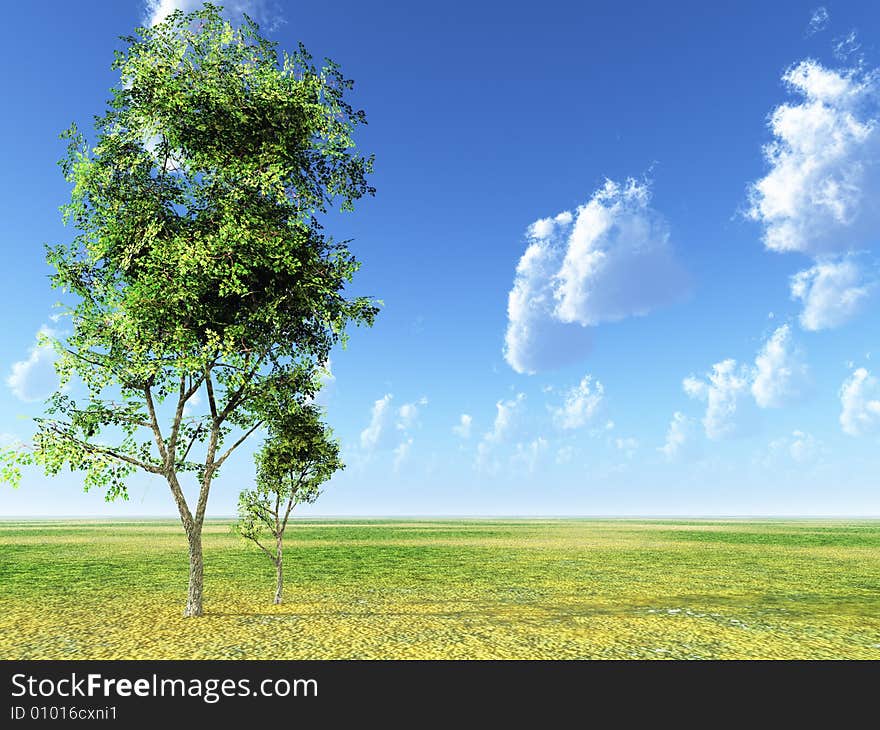 Beautiful landscape with lonely tree.