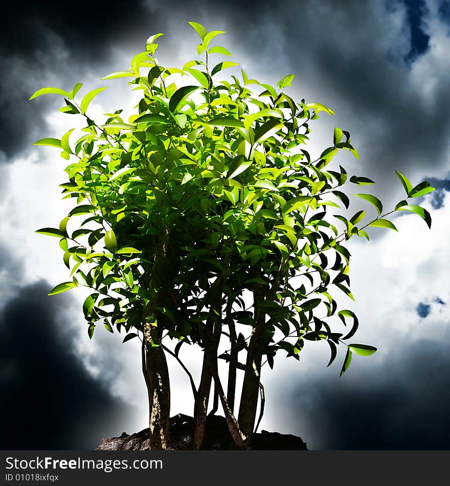 Illustration 3d of green plant with dark sky background