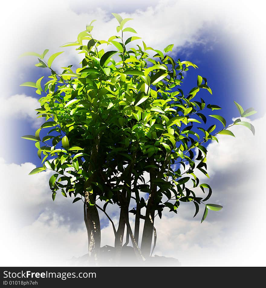 Green plant and blue sky