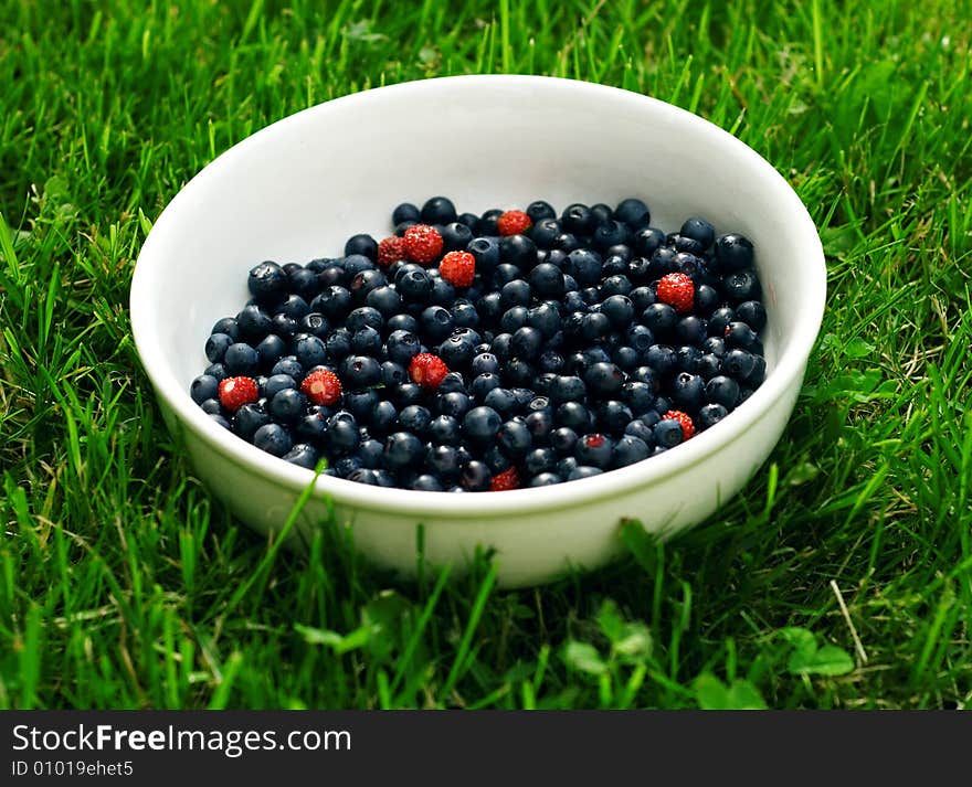 Fresh bilberries with forest strawberries