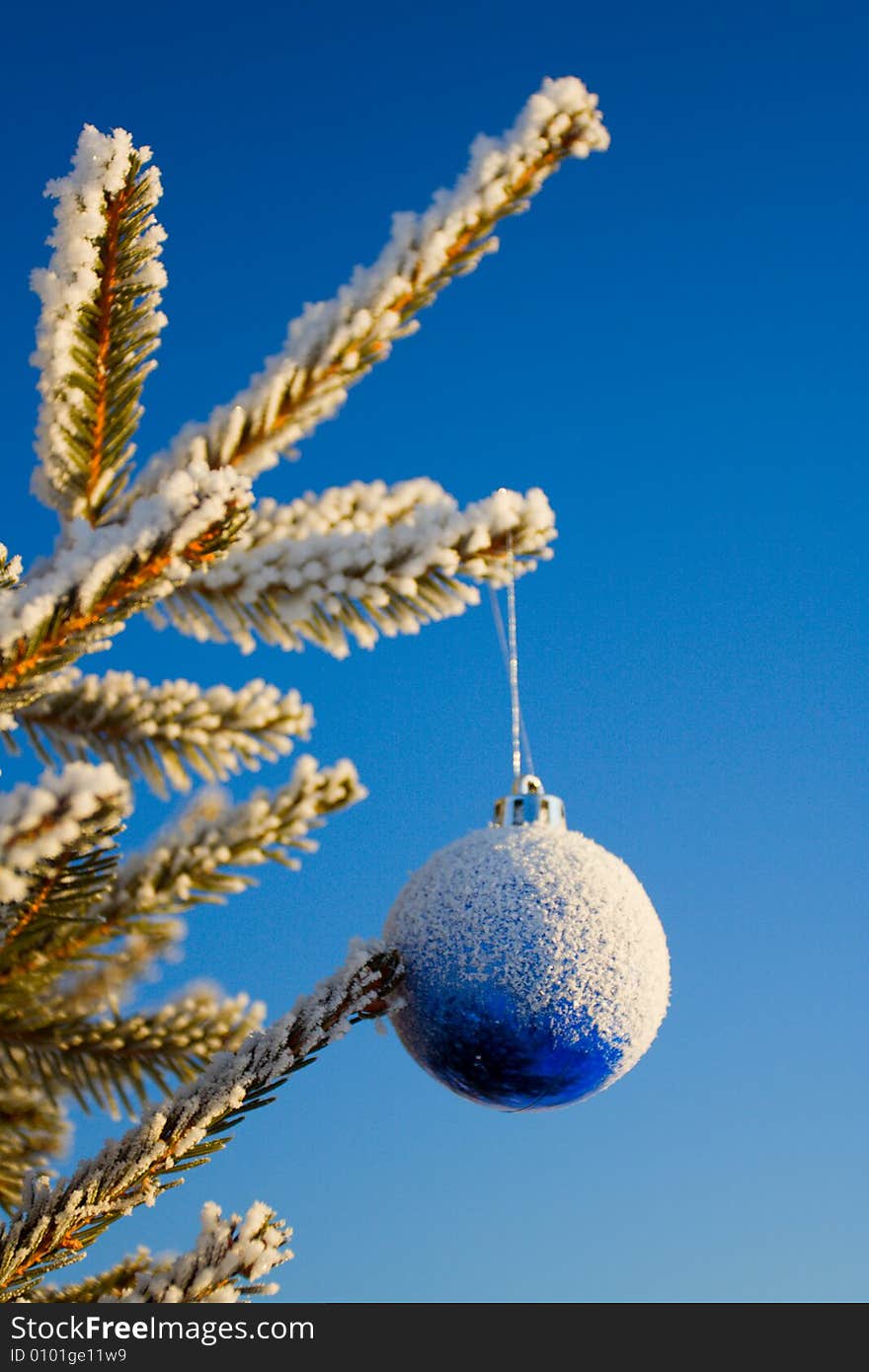 Beautiful sphere, hanging on snow fur-trees