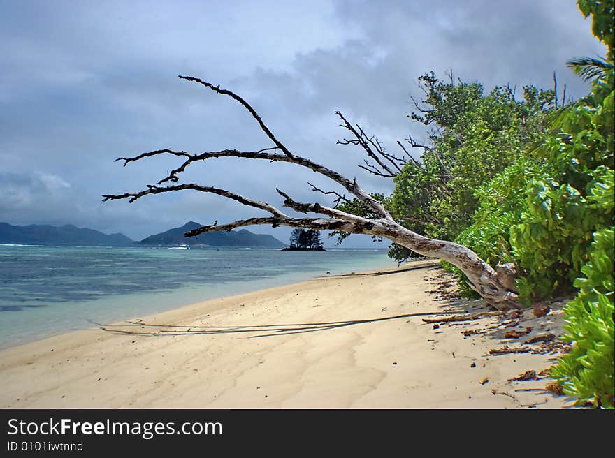 There is the wild coast of island with the tropical nature on the picture . . There is the wild coast of island with the tropical nature on the picture .