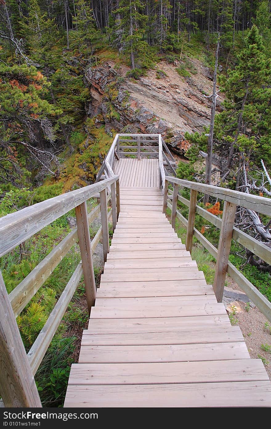 wood path to a viewpoint