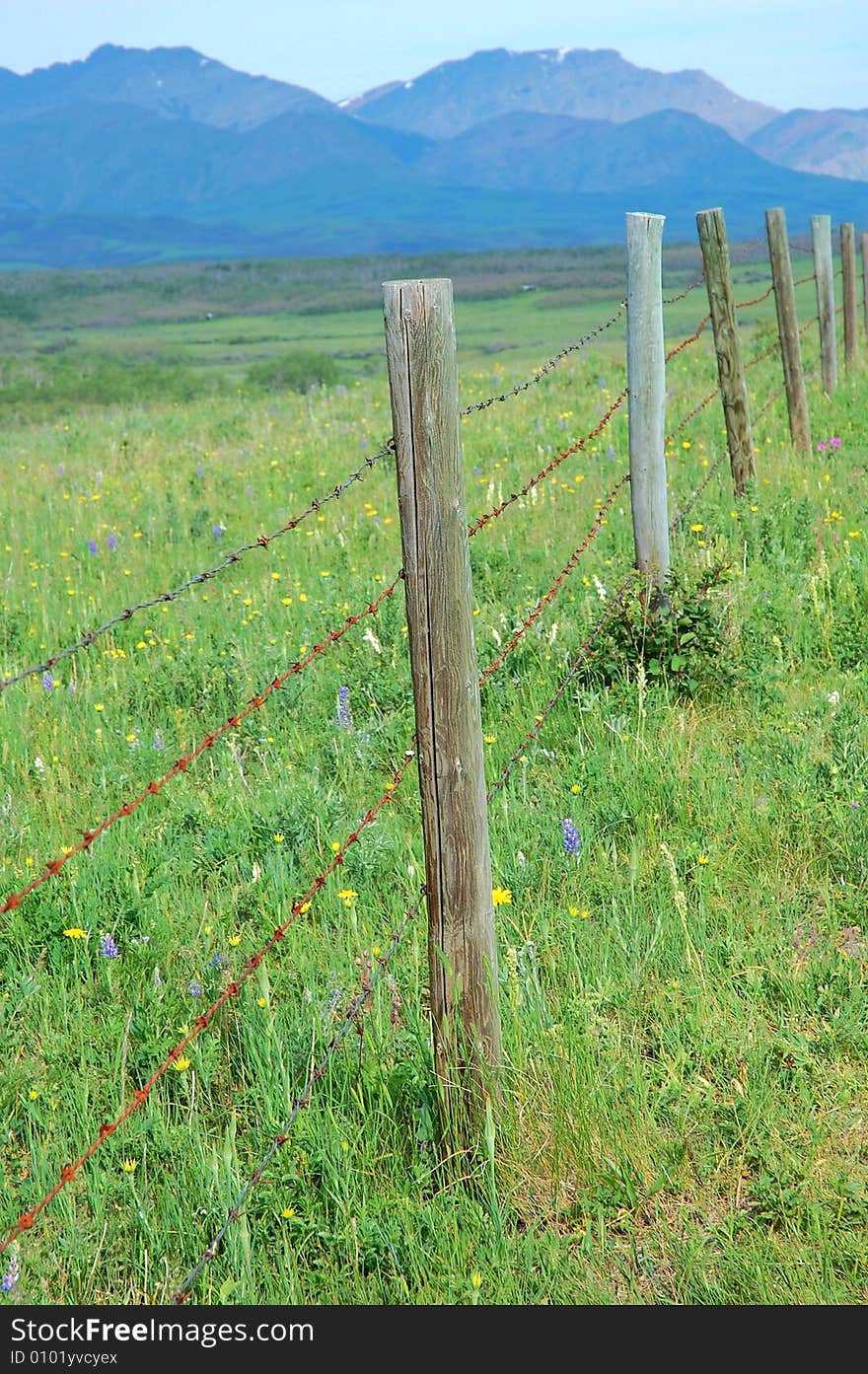 Fence in the southern alberta prairie, canada. Fence in the southern alberta prairie, canada