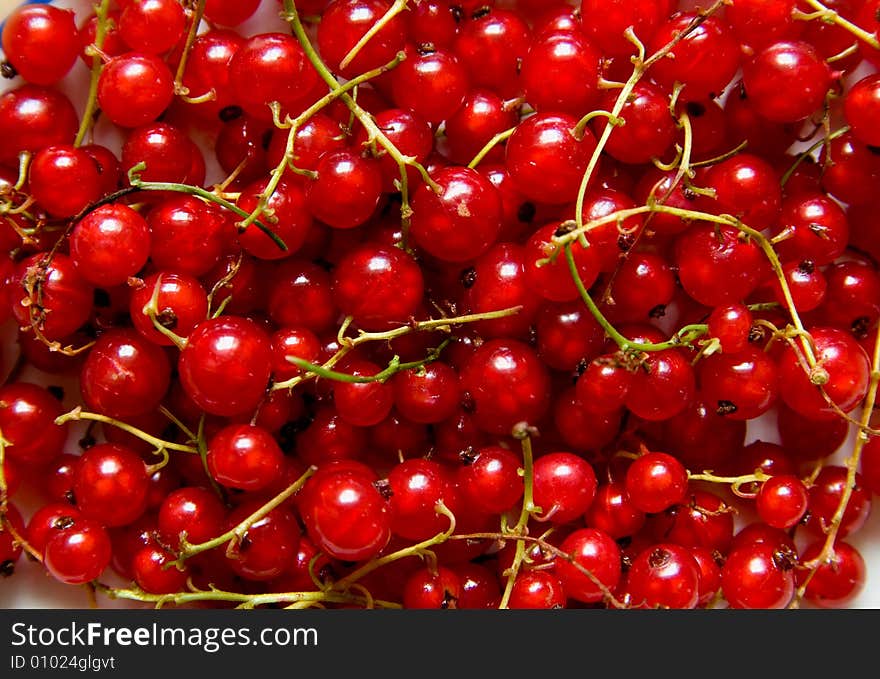 Redcurrant