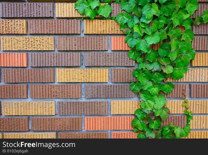 Brick wall photo showing the pattern details