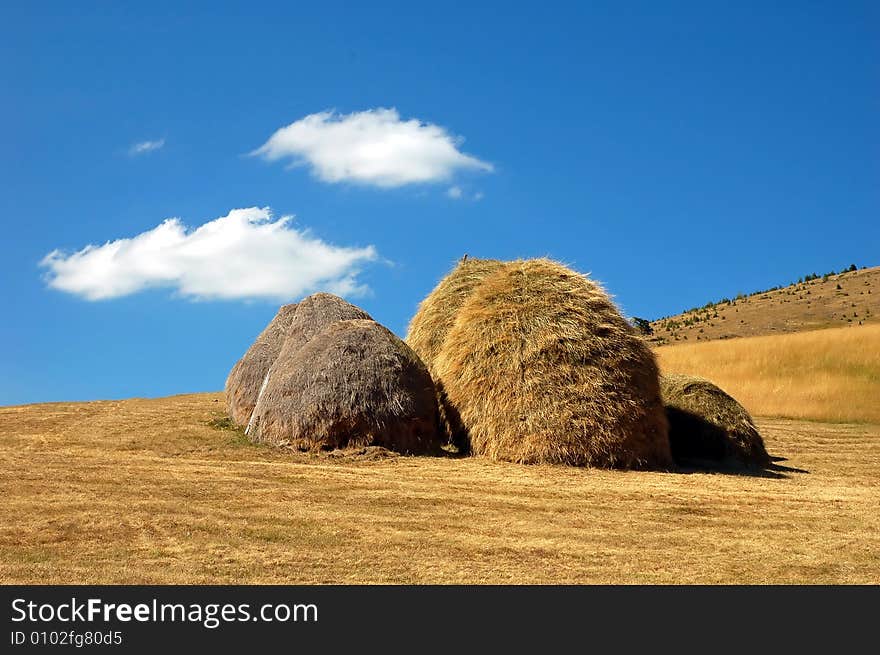 Several different colored haystacks on a mowed field. Several different colored haystacks on a mowed field