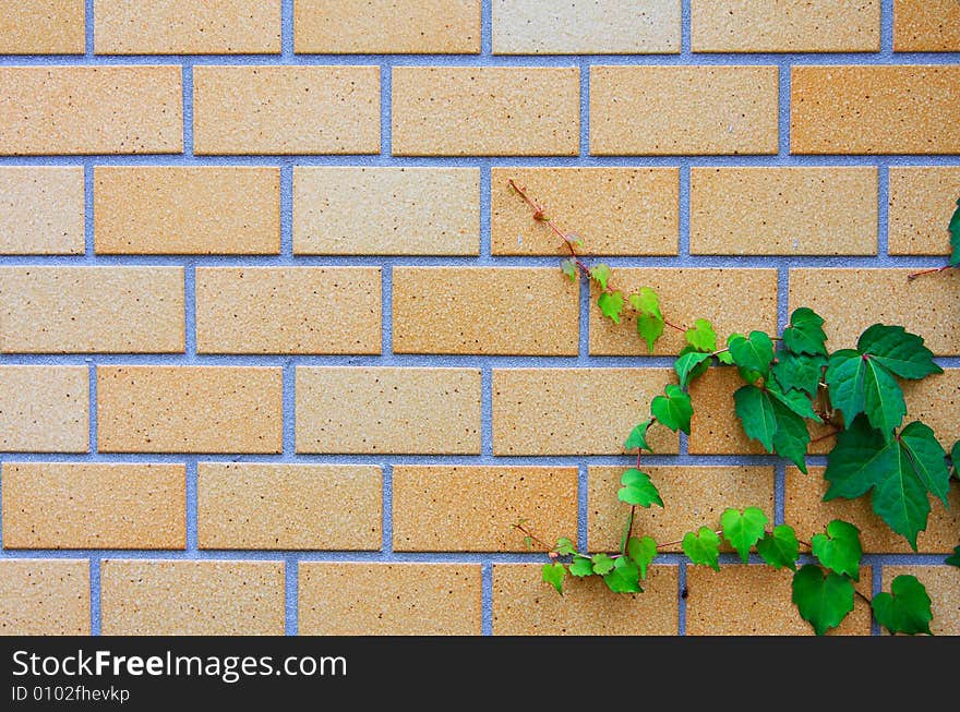 Brick wall photo showing the pattern details