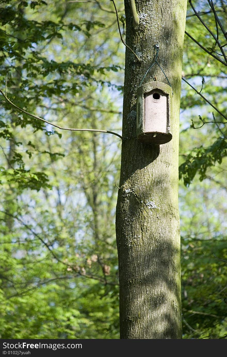 Bird House