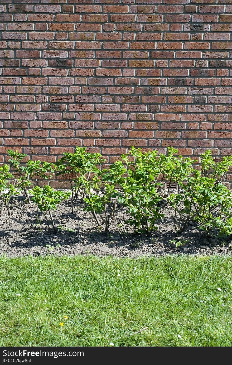 Brick wall detail with grass