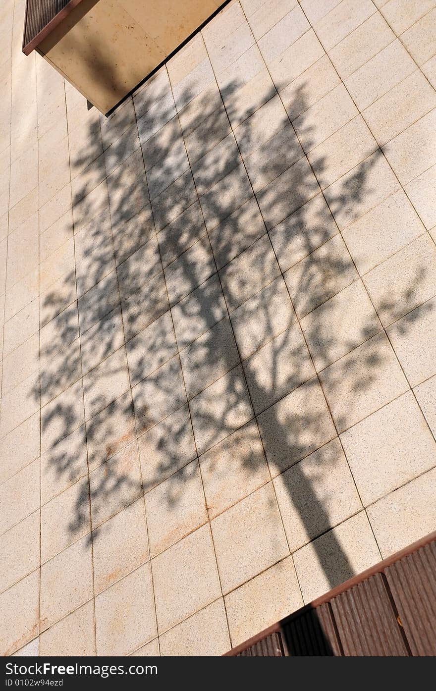 A shadow of a tree projected on flagstones in an urban environment. A shadow of a tree projected on flagstones in an urban environment