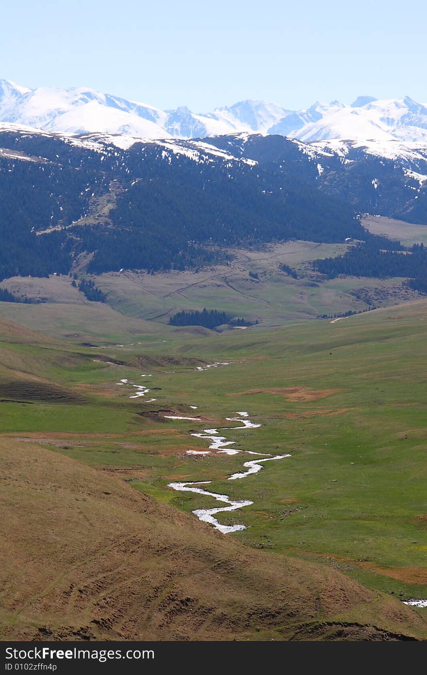 Mountain pastures in the spring. Mountain pastures in the spring