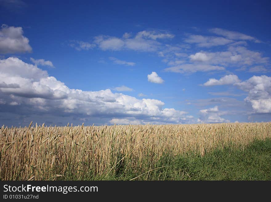 Agricultural scenery