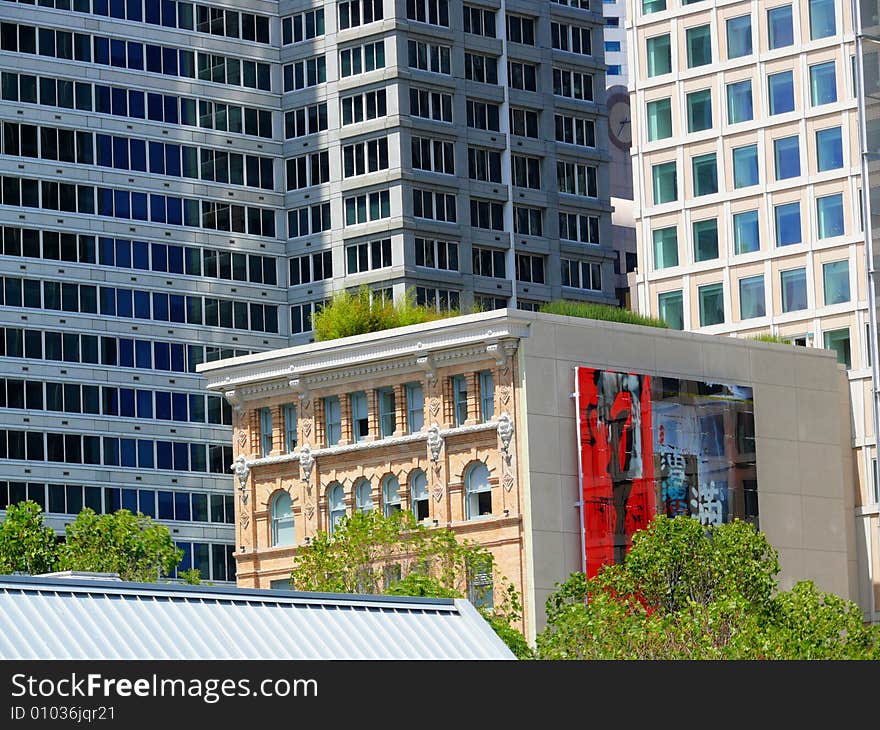 The highrises were not able to totally hold back some green in this super dense downtown area. Taken in San Francisco near Yerba Buena. The highrises were not able to totally hold back some green in this super dense downtown area. Taken in San Francisco near Yerba Buena