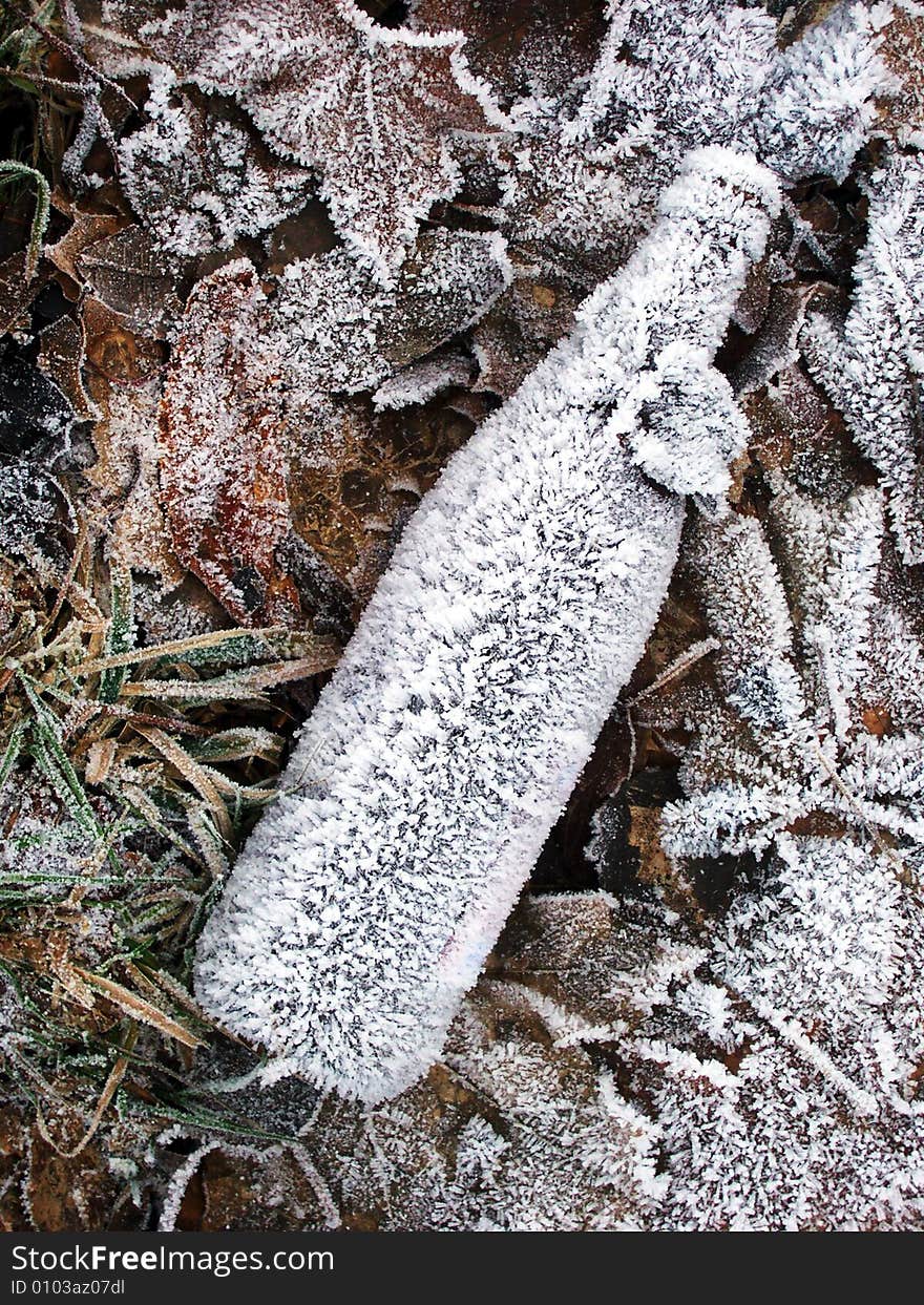 The frozen bottle in winter. The frozen bottle in winter