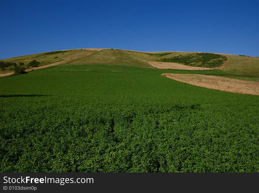 Grassland, umbria