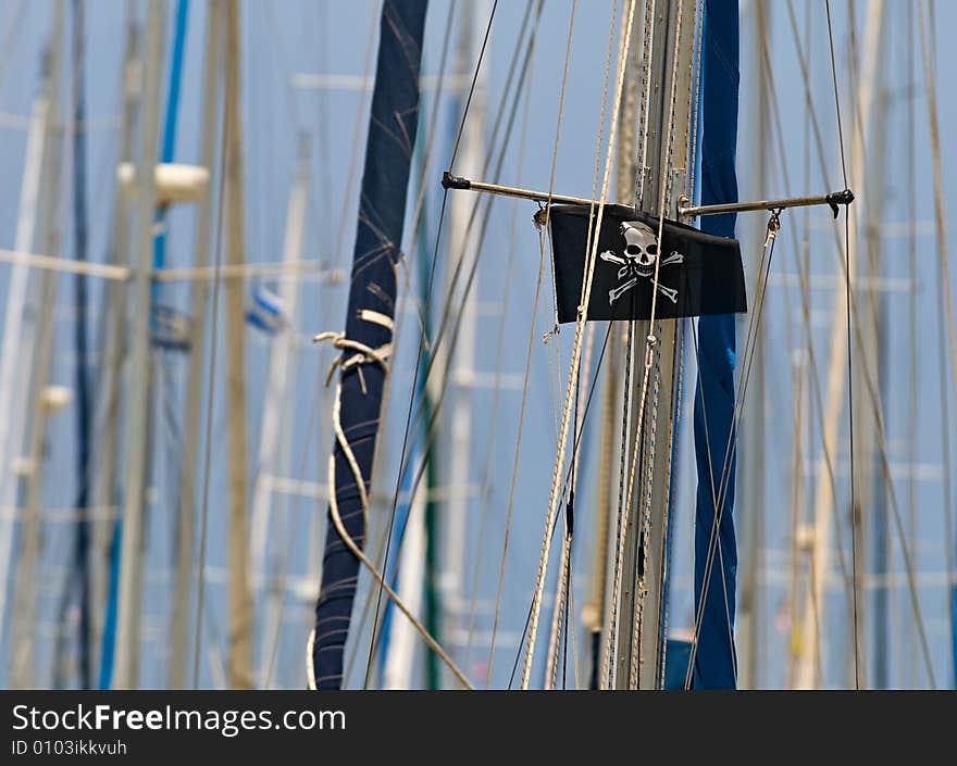 Pirate flag on rigging of yacht standing in marina