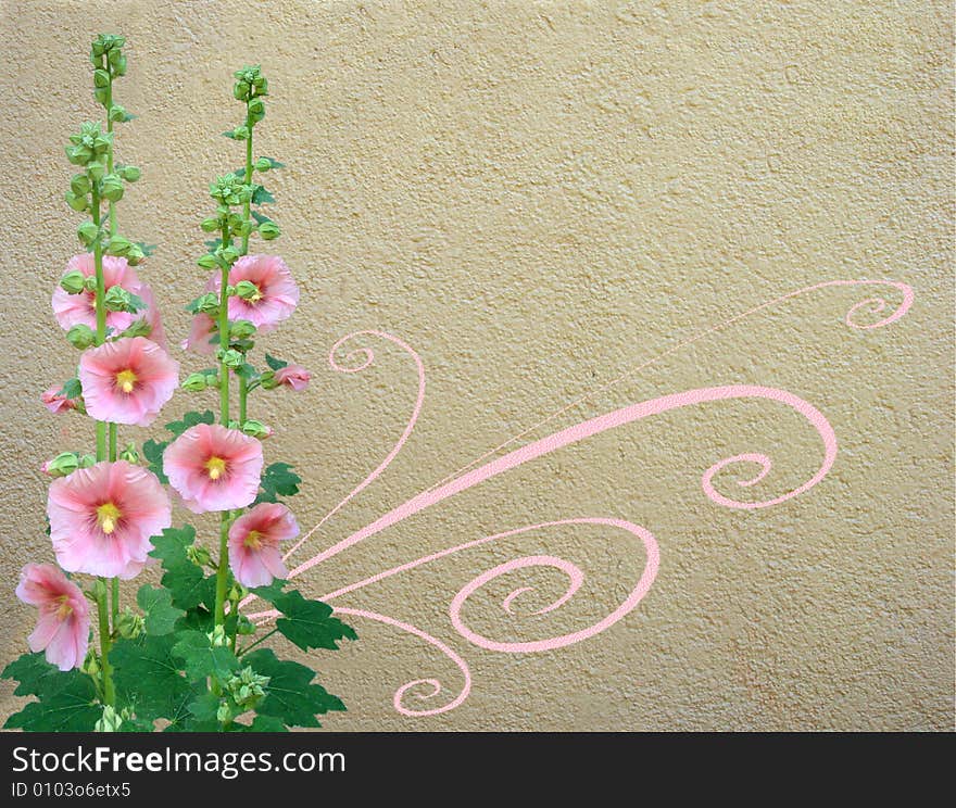 Abstract floral background with mallow and place for your text