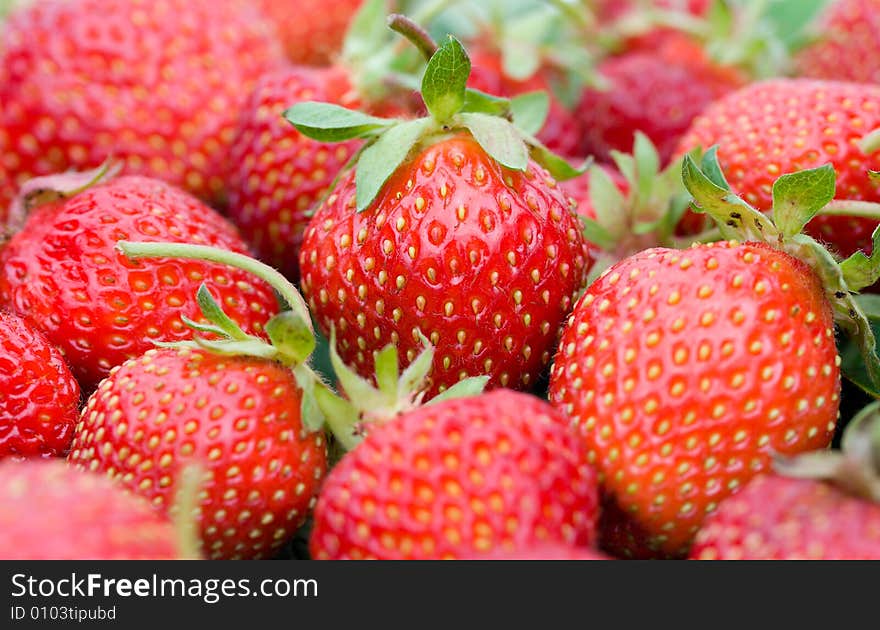 Close-up strawberries