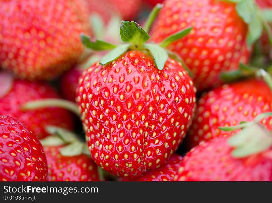 Ripe Strawberries