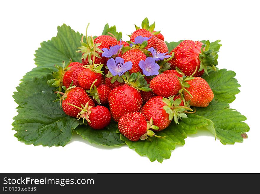 Strawberries on leafs