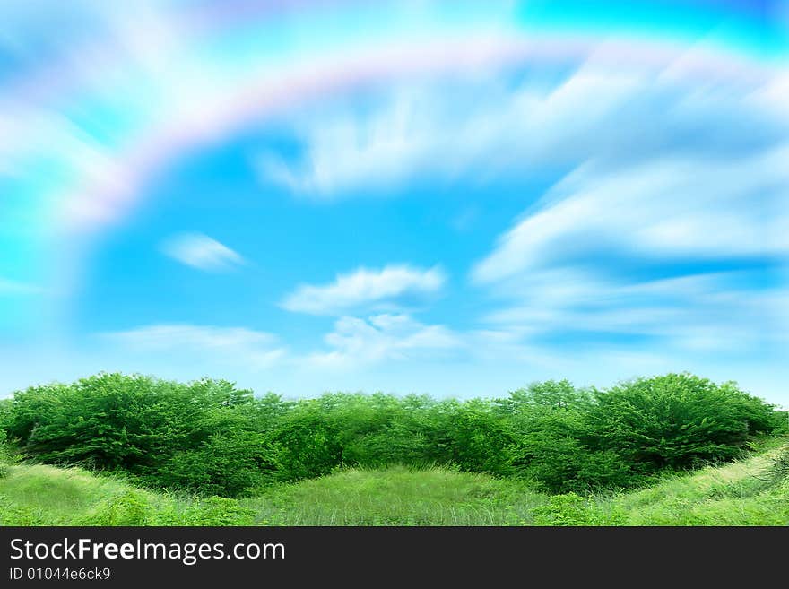 Beautiful green herb on background blue sky and cloud