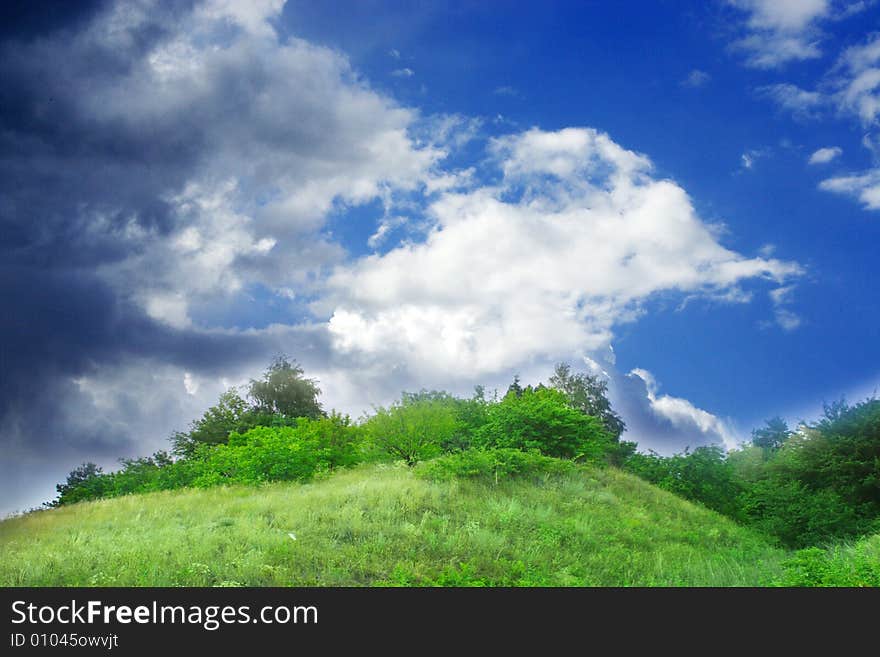 Beautiful green bush on background blue sky and cloud. Beautiful green bush on background blue sky and cloud