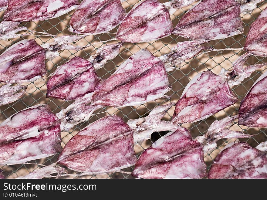 Rows of drying squid in a fishing village