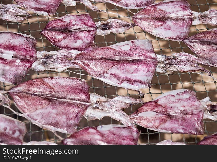 Rows of drying squid in a fishing village