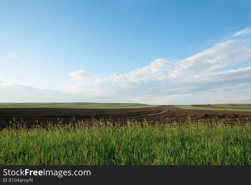 Field under blue sky with clouds