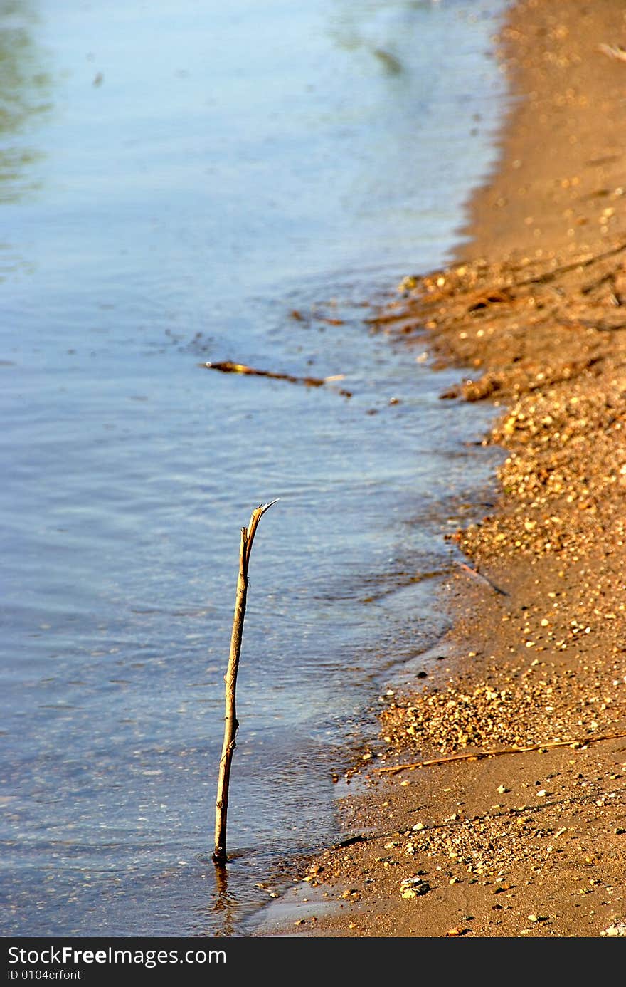 Coast of the lake