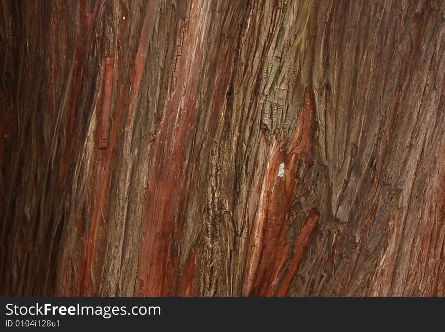 Abstract Wood Crust Texture