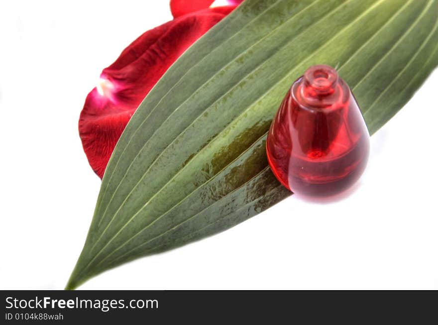 Bottle of perfume on a background of petals of roses. Bottle of perfume on a background of petals of roses