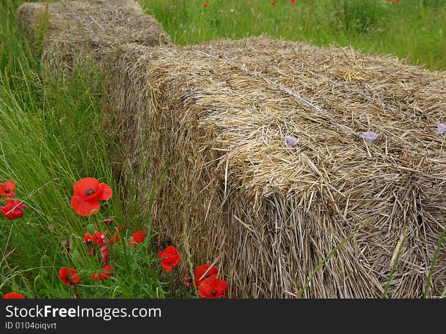 Hay bundle in a meadow in summer with some wild poppies.