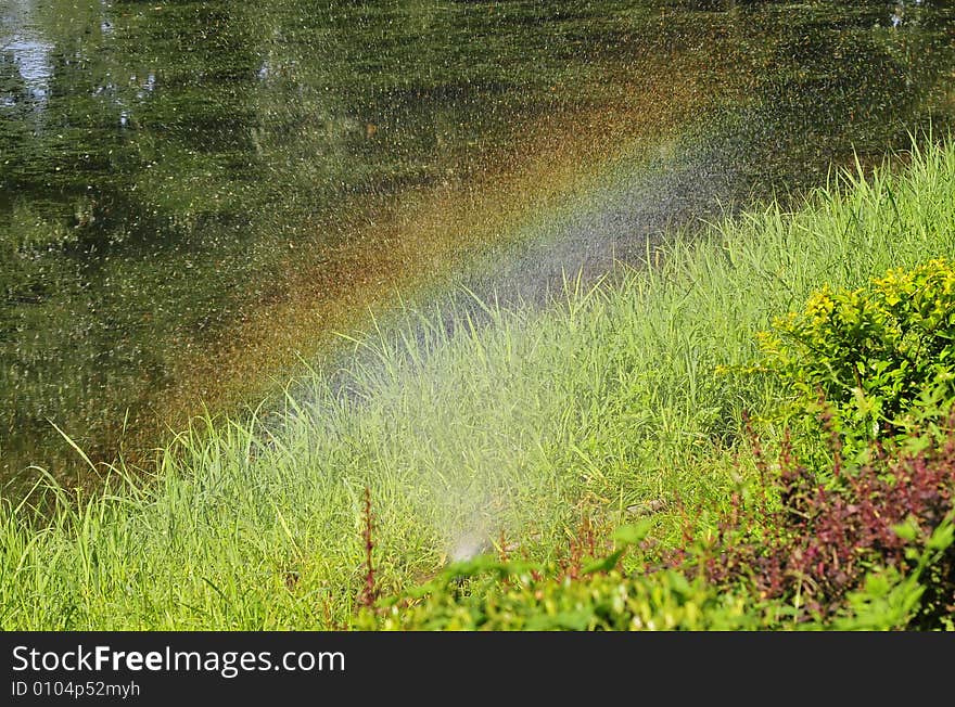 Rainbow in the pond, green pond