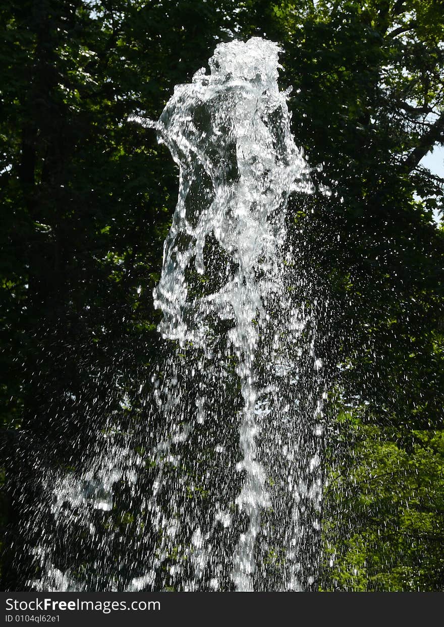 Motion fountain like progress, Petersburg peterhof. Motion fountain like progress, Petersburg peterhof