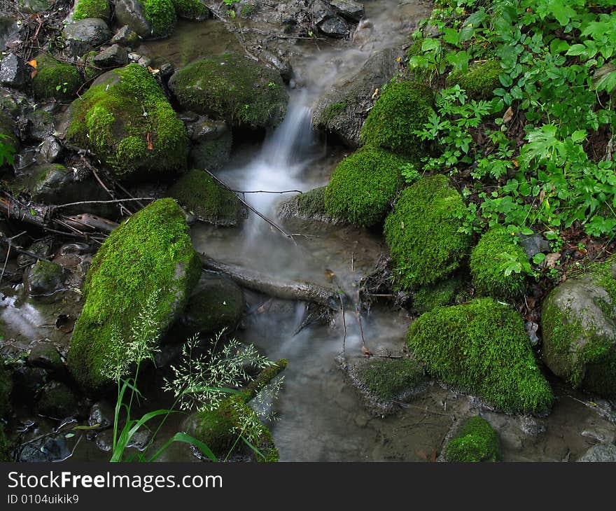 Flowing water and green moss