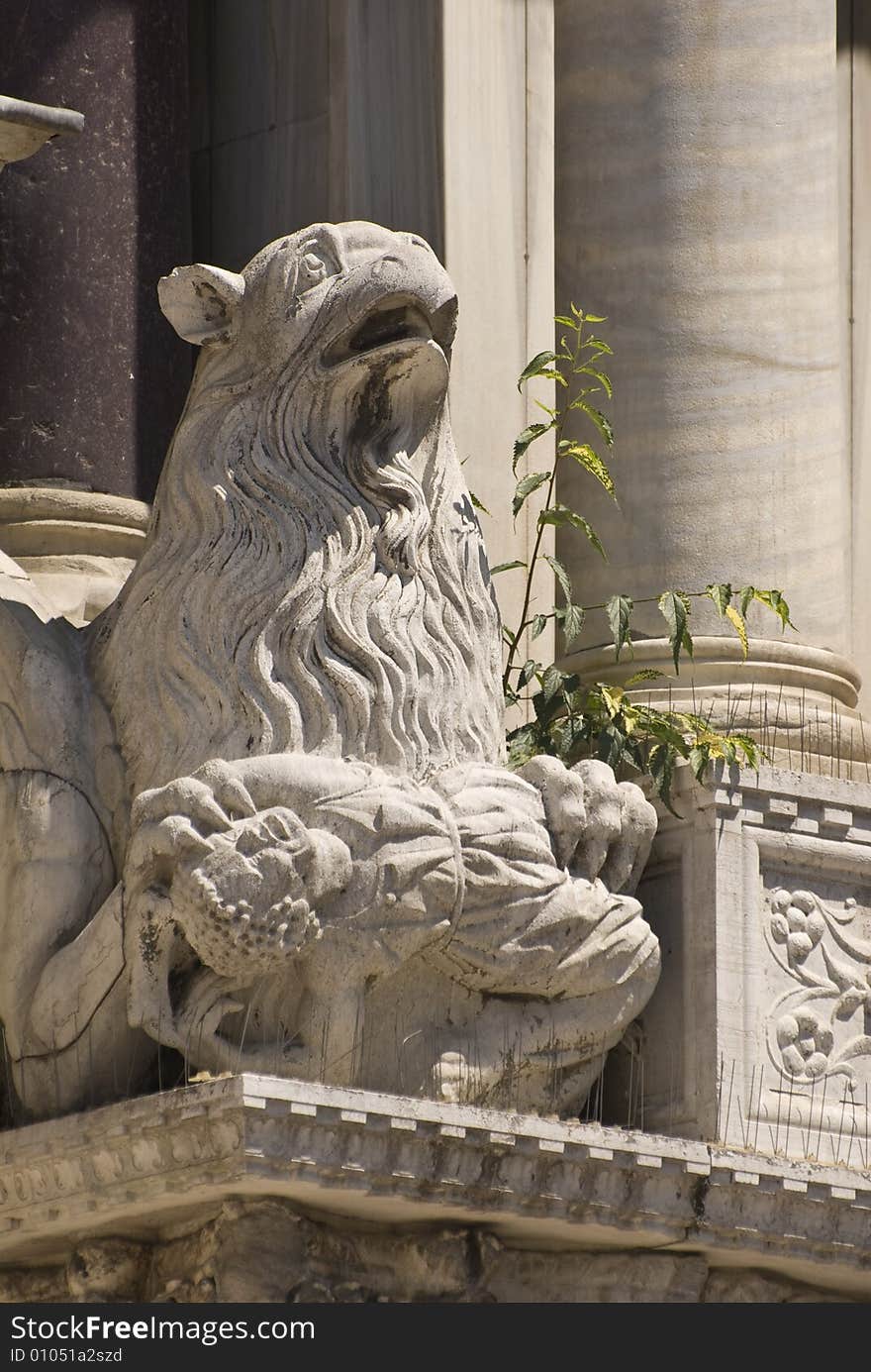 Gargoyle on Side of Basilica di San Marco. Taken in Venice, Italy.