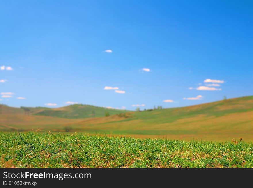 Green field under blue sky with clouds