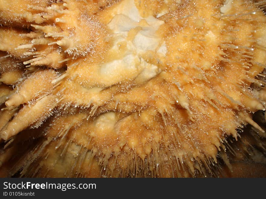 Closeup of stalagtites in an old cave