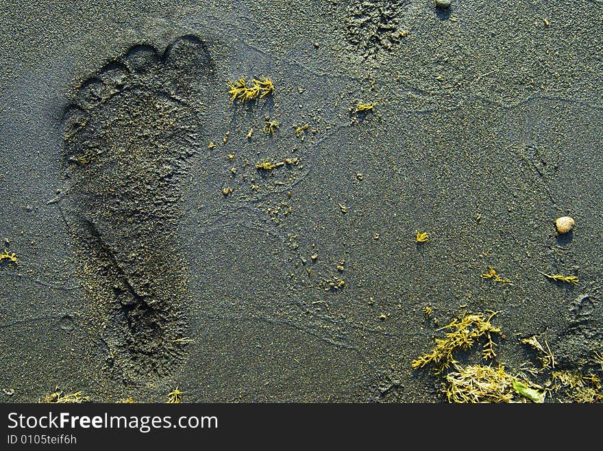 Foot track on the sand