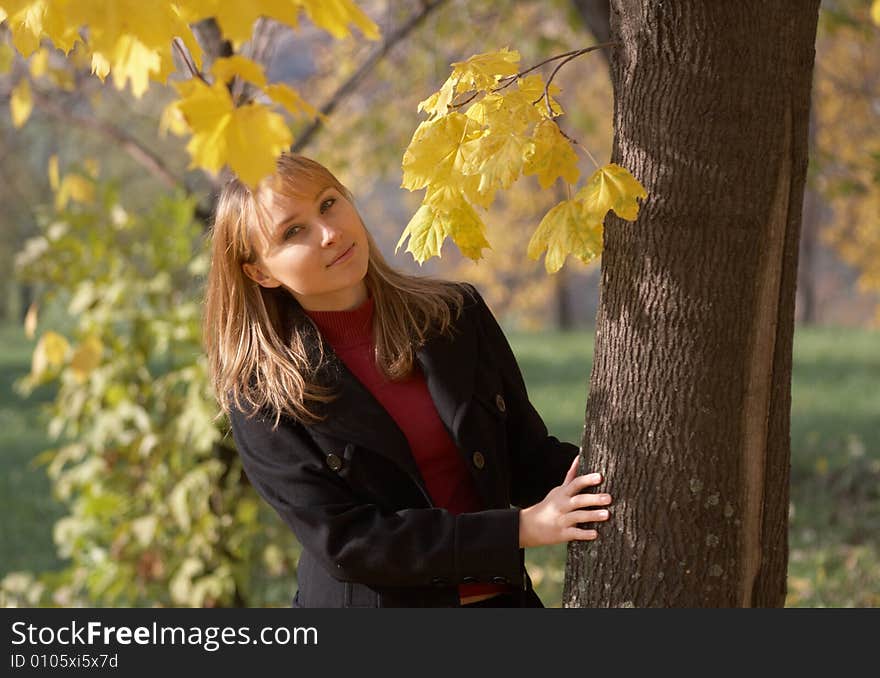 Young Woman On A Autumn Leaves Background