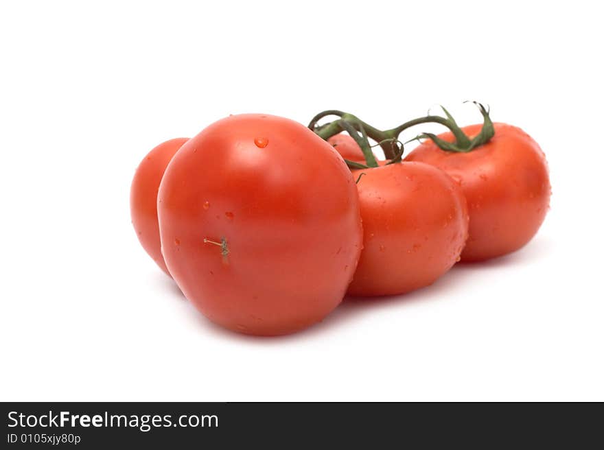 Tomato on a white background